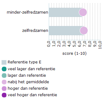 Digitale dienstverlening  - 2023 - Borne